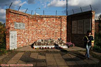 IMG_ (10544)